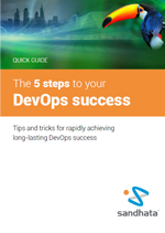 The 5 Steps to DevOps Success